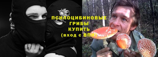 мдпв Одинцово